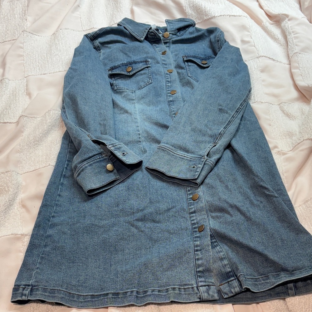 Denim Button-Up Dress